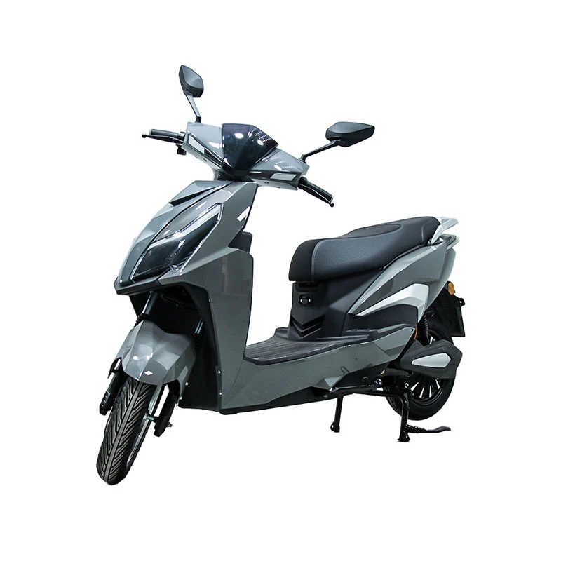 1000W मा इलेक्ट्रिक मोटरसाइकलहरू दुई-पाखुरा दुई-पाखुराका साथ
